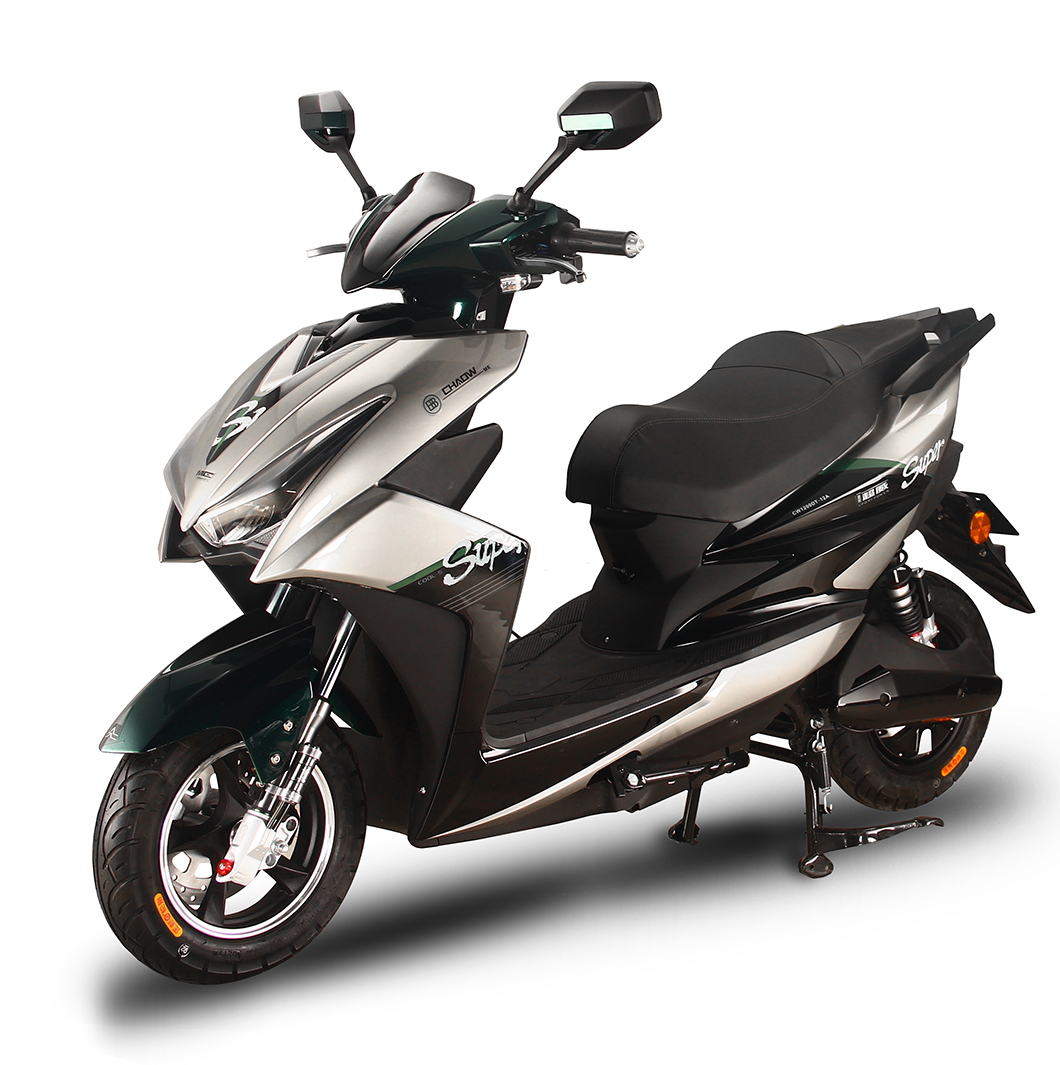 TWO WHEEL 1000W POWERFUL ELECTRIC MOTORCYCLE SCOOTER (DHF)