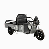 THREE WHEEL ELECTRIC TRICYCLE / CARGO TRICYCLE WITH 48-60V20AH LEAD-ACID BATTERY VERSION (ZH-01)
